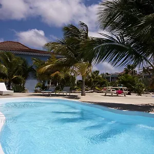 Tortuga Playa